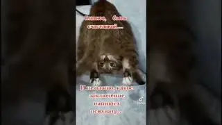 18 июля 2022 г.