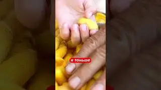 The Dark Side of Silk Production 