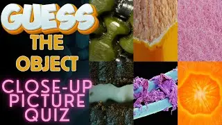 Guess the Zoomed in Image ¦ Close Up Picture Quiz 🔬