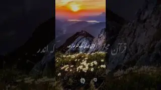 حضرت ابراہیم علیہ السلام اپنے رب کا تعارف کیسے کرواتے ہیں #viral #duet #islamicvideo