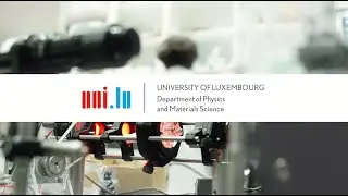 Department of Physics and Materials Science - University of Luxembourg