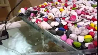 Şelale akvaryum