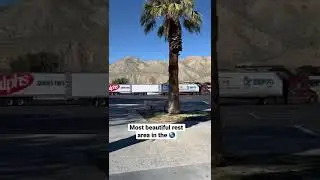 Worlds most beautiful rest area!!! 