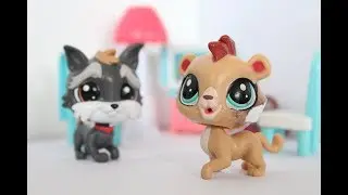פט שופ- פעם אחת אחרונה -פרק 14