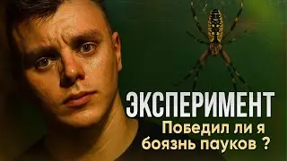 Эксперимент: Победил ли я свою боязнь пауков?