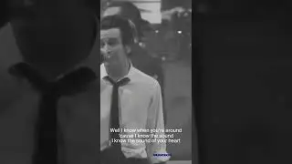 The Sound Live from Madison Square Garden