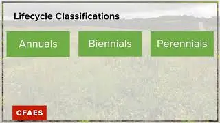 Pastures for Profit Webinar 2- Full Program