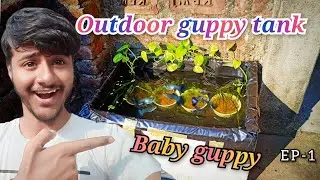 I MADE A NEW GUPPY BABY GROOMING TANK||TOTAL FREE😄🏡🍼@fishesatoz611