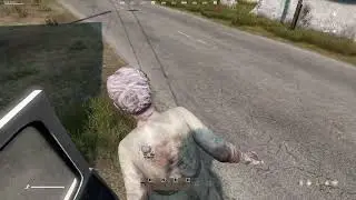 dayz br