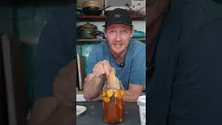 Secret to kombucha! #kombucha #healthyfood