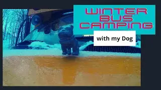 Winter Bus Camping with my Dog! (Steak Dinner Cookout)