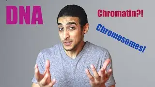 What is a DNA?