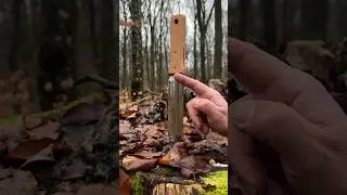 Survival Skills: Optimal HAND Control. 