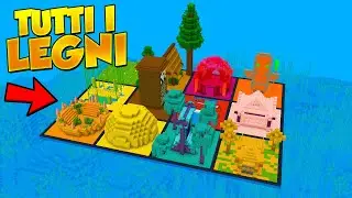 HO COSTRUITO con TUTTI I LEGNI SU MINECRAFT