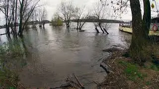 GoPro -Test beim Rheinspaziergang mit Hochwasser
