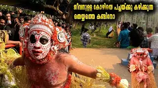 Kaitha Chamundi Theyyam | Sri Chathadi Manaykkal Temple | Kuthuparmba |  Narvoor | Kerala | 2022