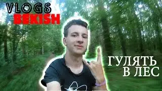 Я ГУЛЯЙ ВЕЛИК  В ЛЕС  / ВЛАД БЕКИШ