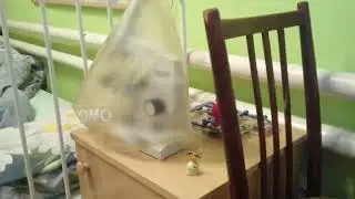 Пролог к  1 части украшения комнаты к Хеллоуину🎃