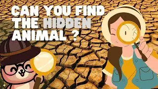 Can you Find the Hidden Animals  | Find the Hidden Animals