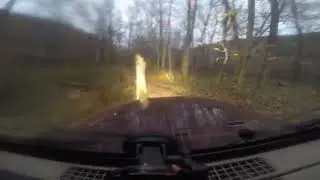 Dan Hit Tree and River Run лес от первого лица