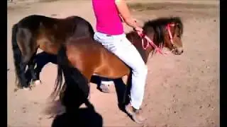 Girl Breaking Mini Horse/Pony Riding