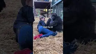 два парня проводят кастинг😁