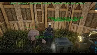 Ark Survival Evolved Овис Разведение