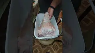 Recipe for BELARUSIAN HAMON