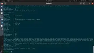 GoLang çoklu işletim sistemi komutlarını çalıştırma |  os exec multiple shell commands
