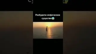 Название: 