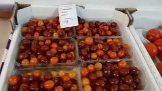 ОЛИВЬЕ  ,  сколько стоит  традиция ?             Цены на овощной базе .   🎄
