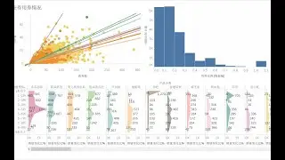 tableau数据分析案列仪表盘Dashboard  初级到高级 不同客户对价格优惠的态度观察