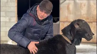 На оценку ИМПЕРАТОР 👑 Хозяин ИСЛАМ ЭРГАШЕВ 🇰🇬Сын УШАСТИК 🩸🩸🩸 