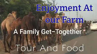 Enjoyment at our farm | A Family Get Together | Life Enjoyments | New Vlog | Farmhouse | Dalbati