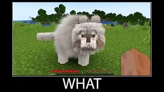 Minecraft wait what meme part 182 realistic minecraft Wolf wool