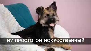 Овчаренок из искусственного меха с открывающейся пастью❤️