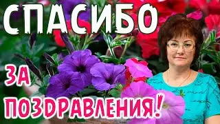 СПАСИБО ЗА ПОЗДРАВЛЕНИЯ! И ВИДЕО С ЮМОРОМ.