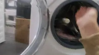 Washing machines at the shop