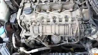 Electra 6.5 004