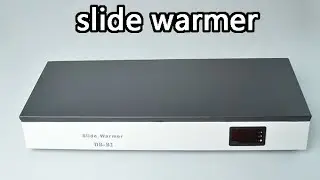 2024 new design laboratory research use heating tissue slides warmer