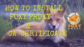 How to setup Foxy Proxy with the TLS CA Certificate.
