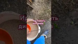 Наш тгк: darindvor2