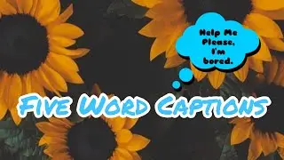 FIVE Word Captions // FIVE Word Instagram Captions // Short Captions