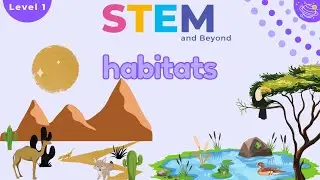 Habitats | Science For Kids | STEM Home Learning