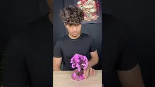 Magic Tree