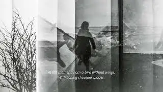 mm of memories