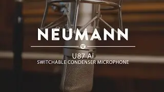 Neumann U87 Ai Switchable Condenser Microphone | Reverb Demo Video