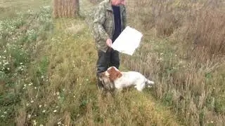 Охота на фазана. Отдых в Подмосковье