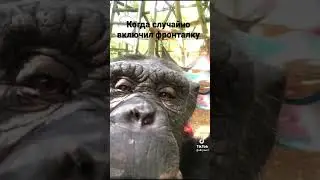 приколы тик ток #тикток