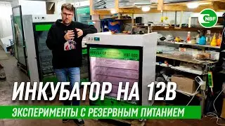 Инкубатор NBF на 12в. с резервным питанием от аккумулятора